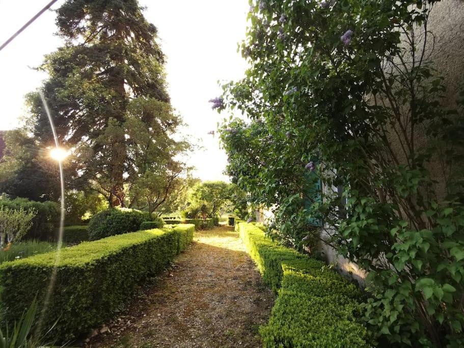 Charmant Studio Avec Jardin A La Campagne Sur Le Chemin De Saint Jacques De Compostelle Apartment Льозерт Екстериор снимка